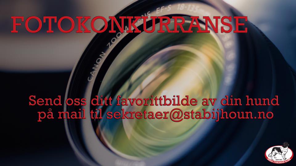 Fotokonkuranse