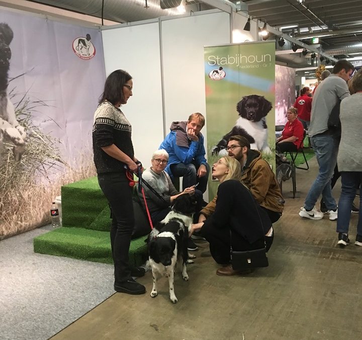 Dogs4All-stand på rasetorget