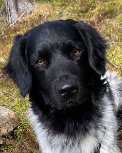 Marco