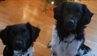 Ronja&Milo