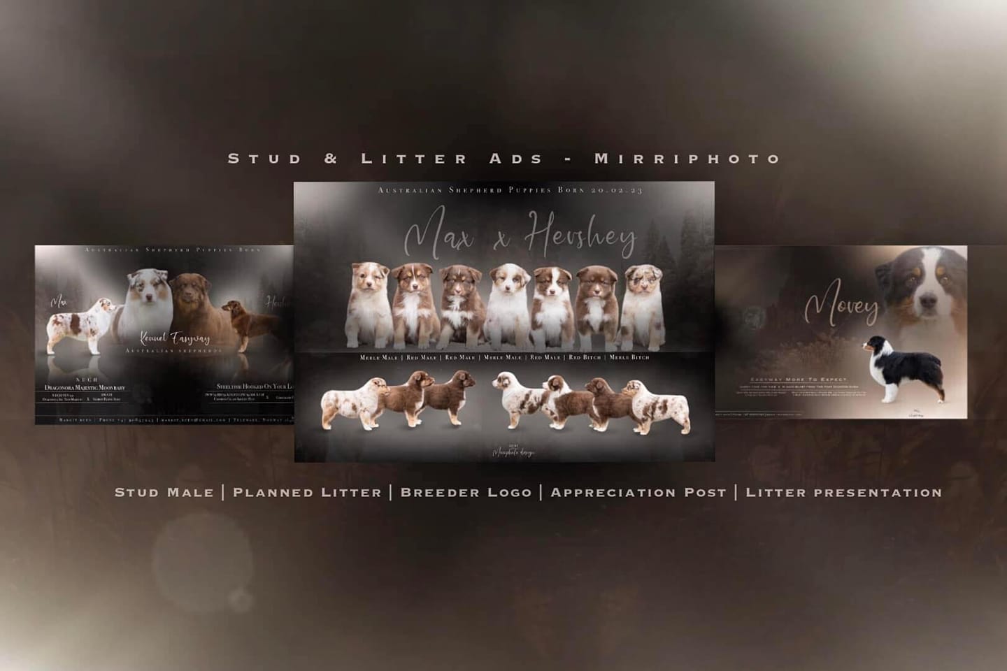Mirriphoto-litterads